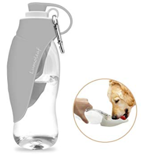 Screen Shot 2019-07-29 at 11.16.02 AM